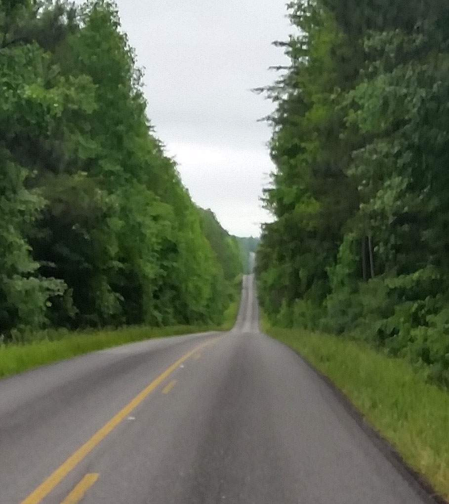 Steep rolling hills through the Bankhead National Forest of Northwestern Alabama